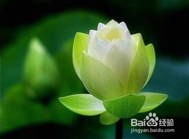 你不满意的，其实是你自己