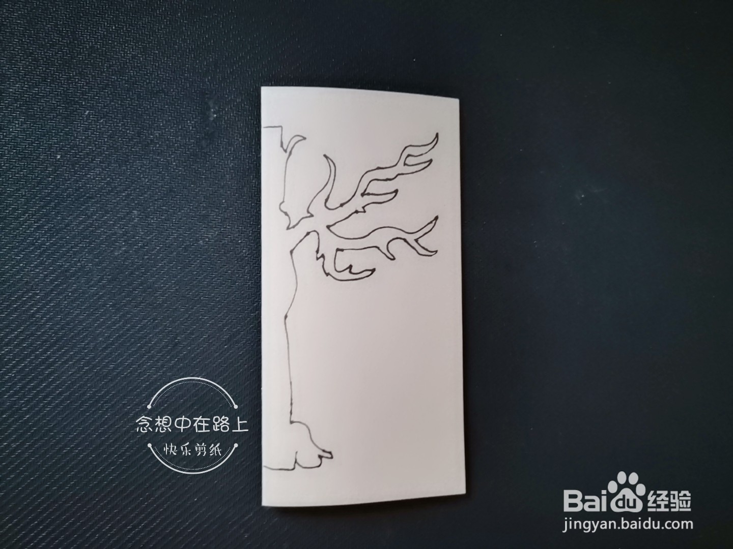 儿童剪纸教程 如何用彩色纸剪一棵枯树