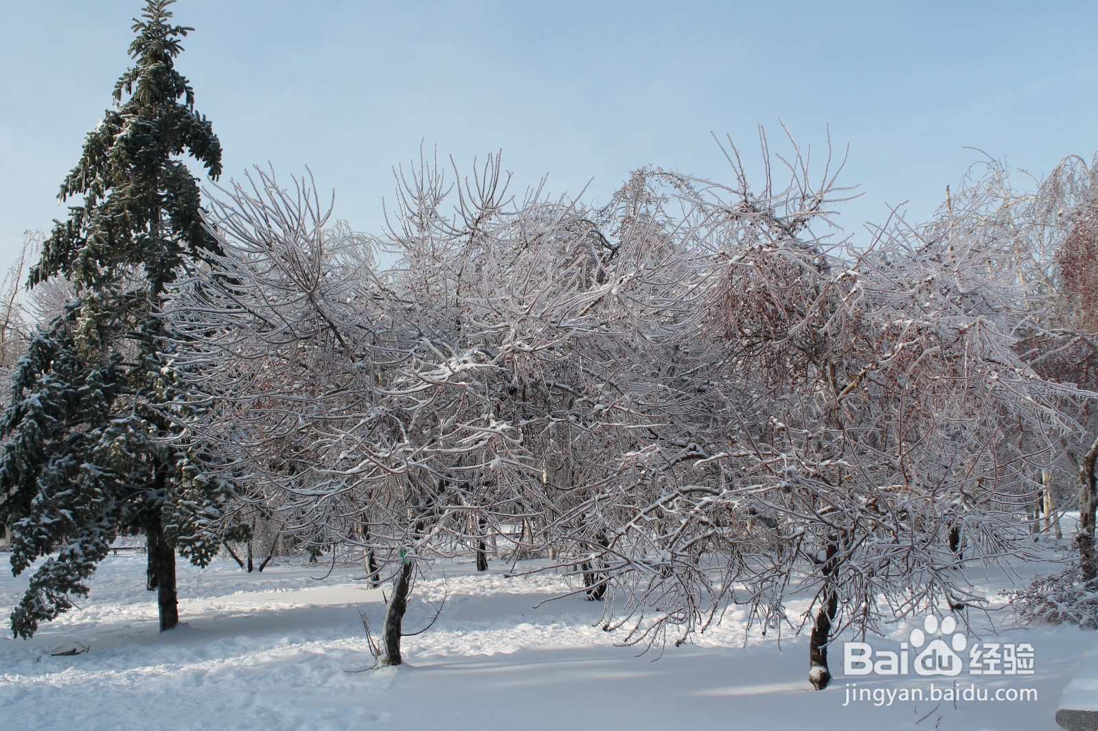 怎样用古诗形容长春2020年冬季第一场雪