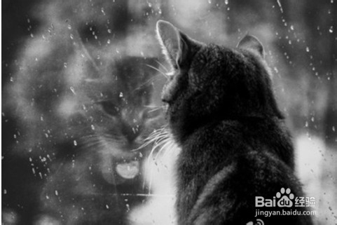 论《龙族》——爱情的抉择！