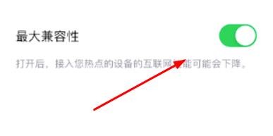 iPhone个人热点如何开启最大兼容性