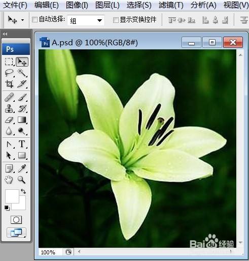 PS怎么让图片呈现粗糙蜡笔的效果