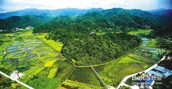 如何做好农旅融合发展