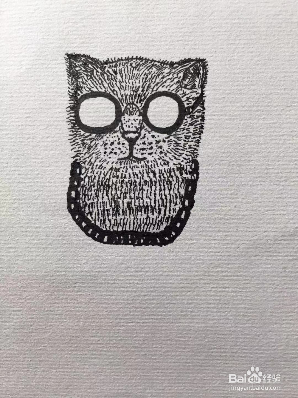 茉莉手绘之猫咪