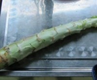 凉拌莴苣丝的做法