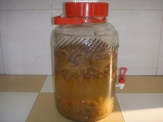 土方法制葡萄酒