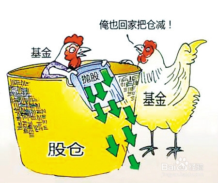 怎么正确理解基金的概念