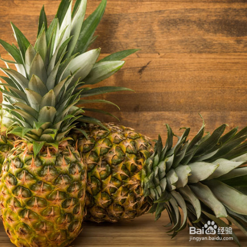 盆栽菠萝冬天怎样防冻