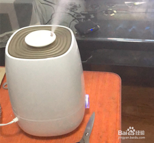 猫身上有静电怎么去除