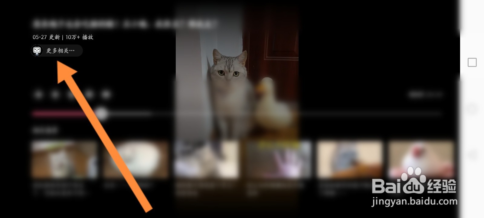 云视听小电视怎么关注up主