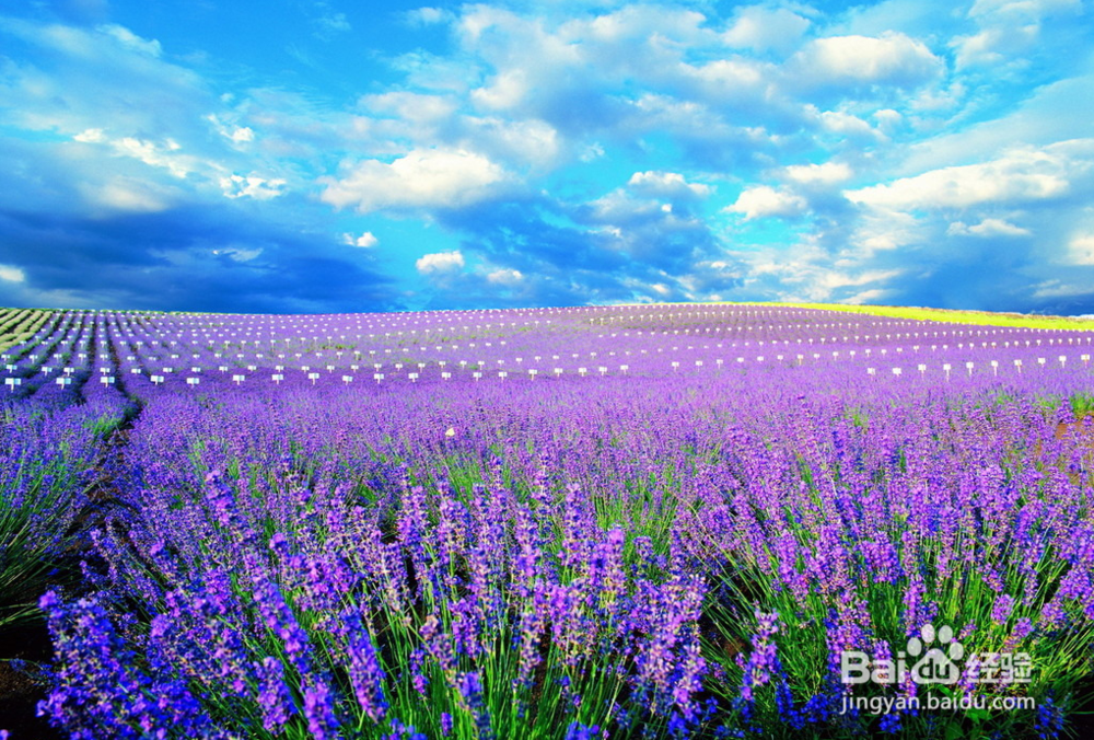 如何去控制情绪