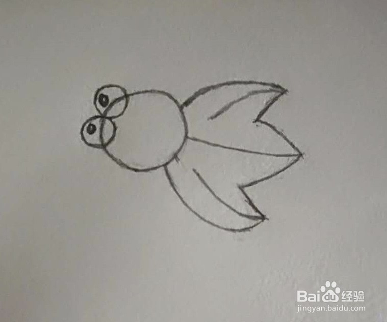 简笔画-怎么画可爱的金鱼