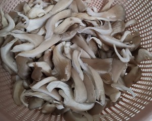 蘑菇清炒韭菜