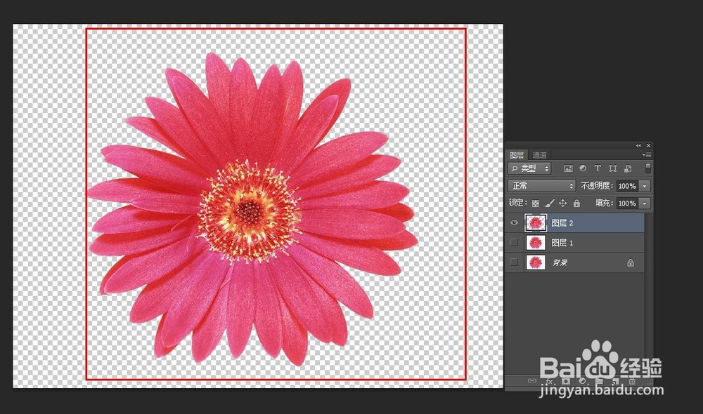 Photoshop教程---制作圆珠笔画效果