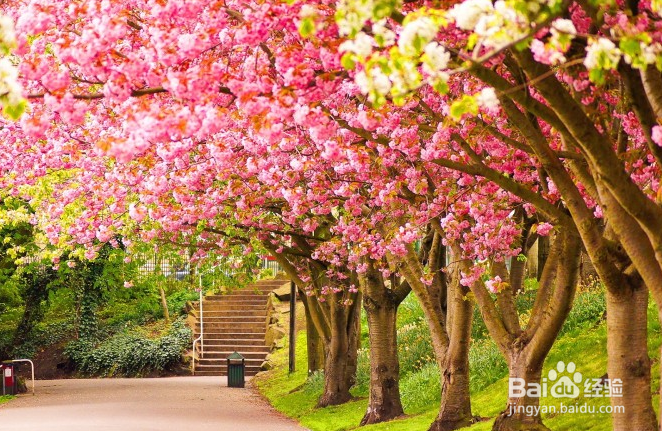 教你如何放松自己的心情