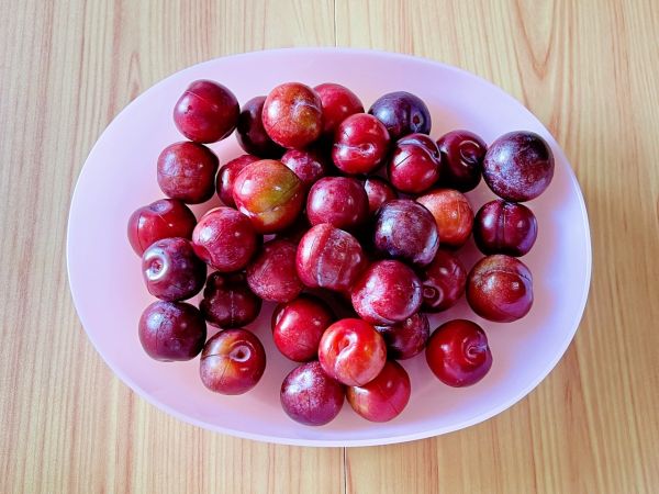 李子果酒做法简单