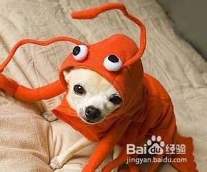 12星座致富障碍在哪里?