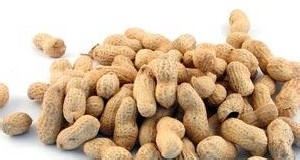 用脑过度吃什么食物可以补脑