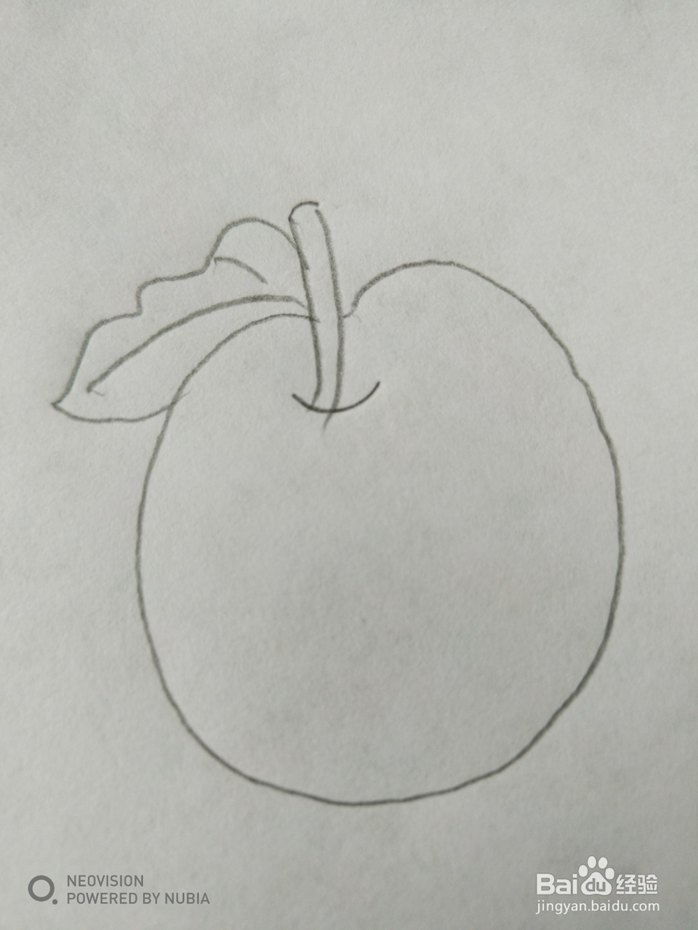 简单的苹果怎么画