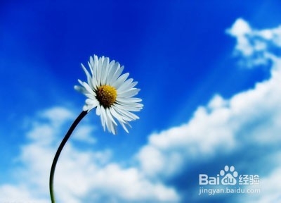 如何让皮肤变白