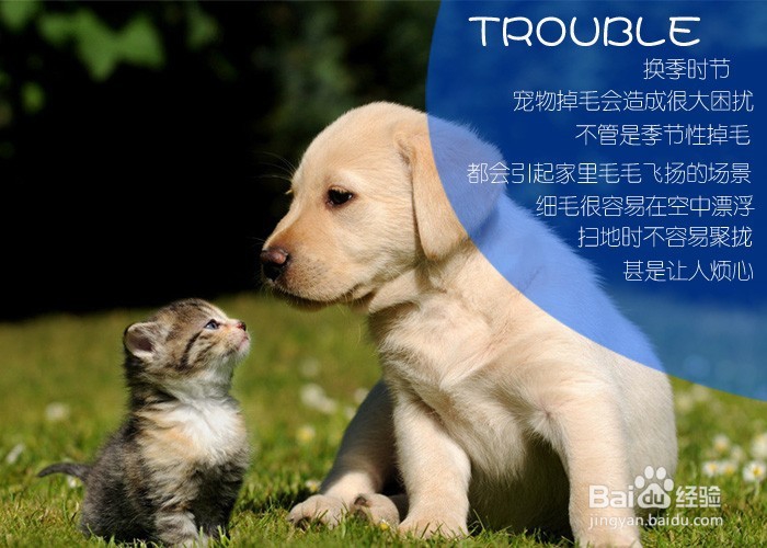 真空吸尘器好处在哪里？如何选购/使用吸尘器