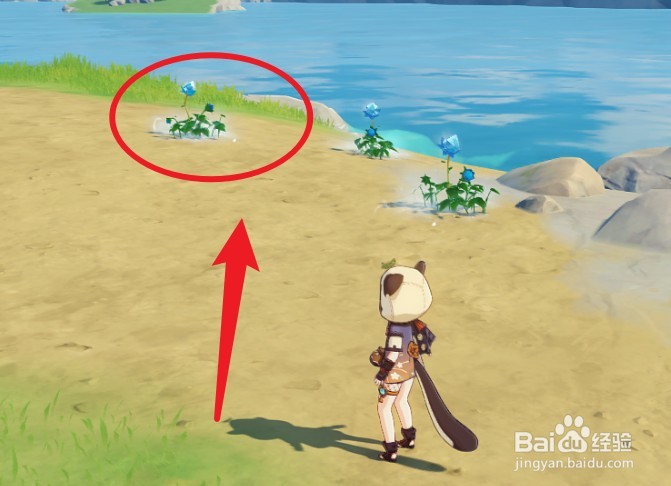 早柚怎么给自己挂冰