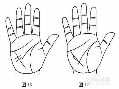 如何从掌纹判断健康,教你对在家健康了如指掌