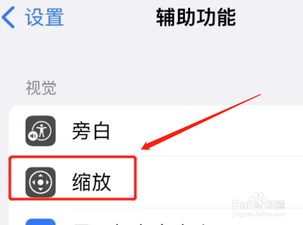 苹果的放大镜功能在哪
