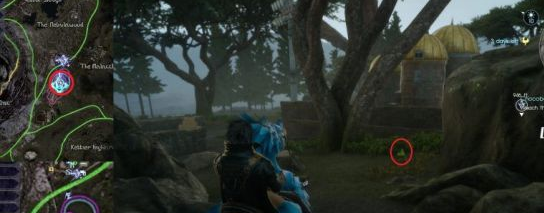 最终幻想15（FF15） 陆行鸟攻略