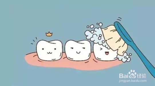 改良Bass刷牙方法教你正确刷牙