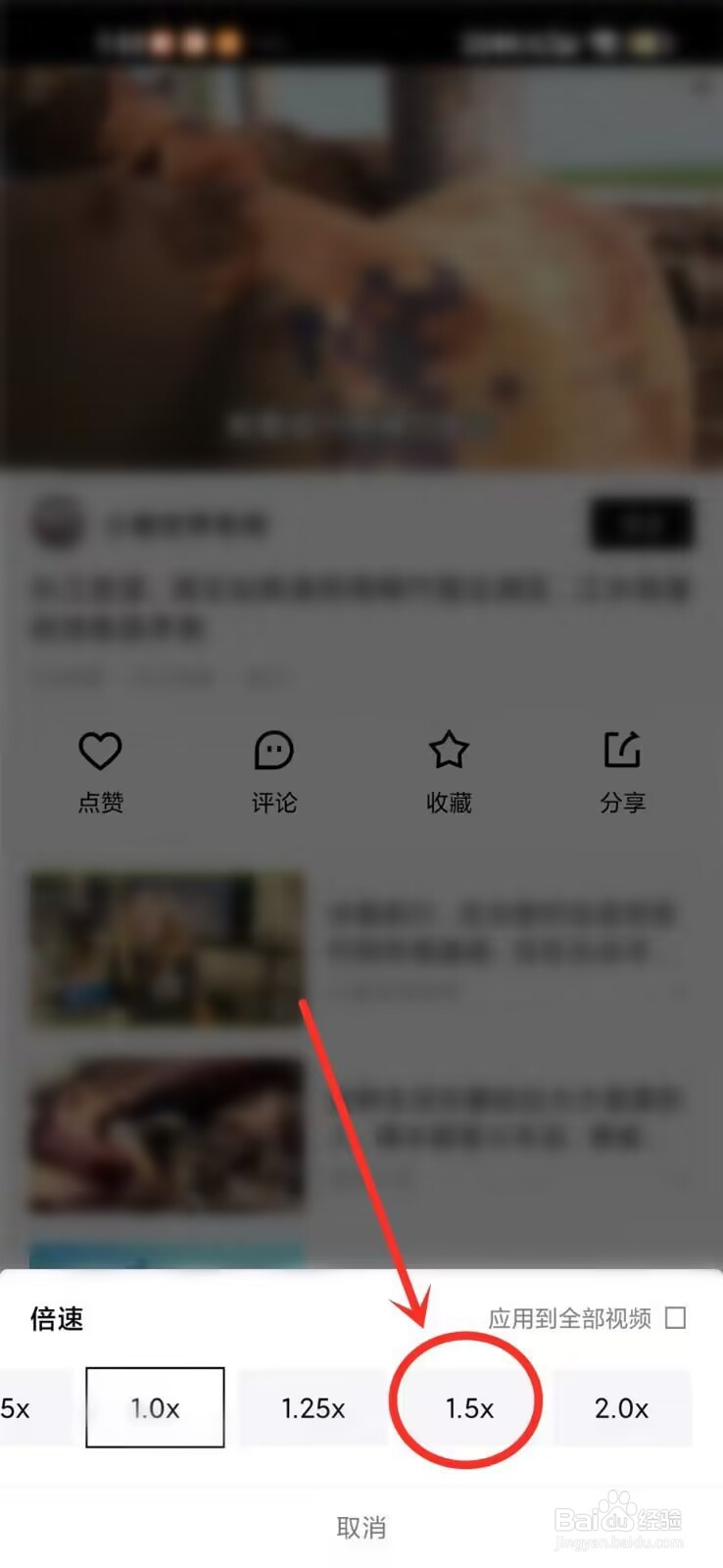 青桃APP怎么设置倍速播放