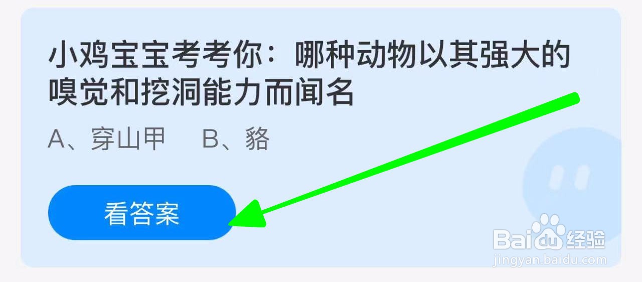 蚂蚁小课堂10.20哪种动物以嗅觉挖洞能力而闻名