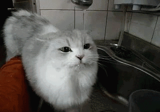 理智地对待宝宝发烧。