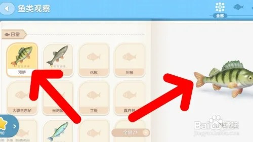 心动小镇如何查看河鲈图鉴