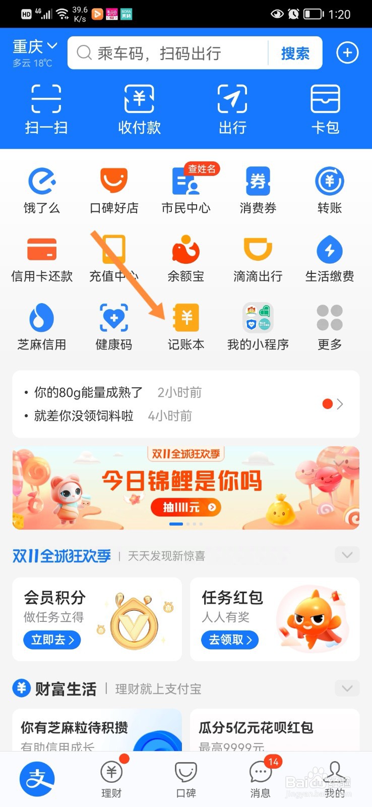 怎么查看自己支付宝月支出账单