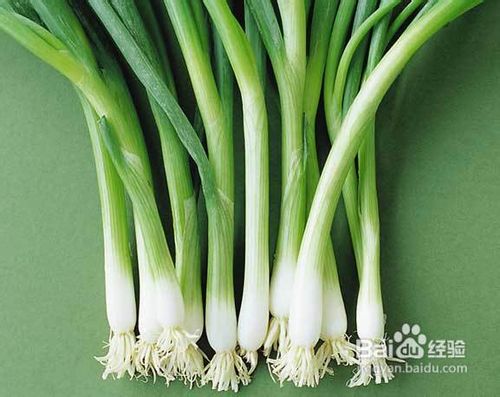 巧除生活中的异味