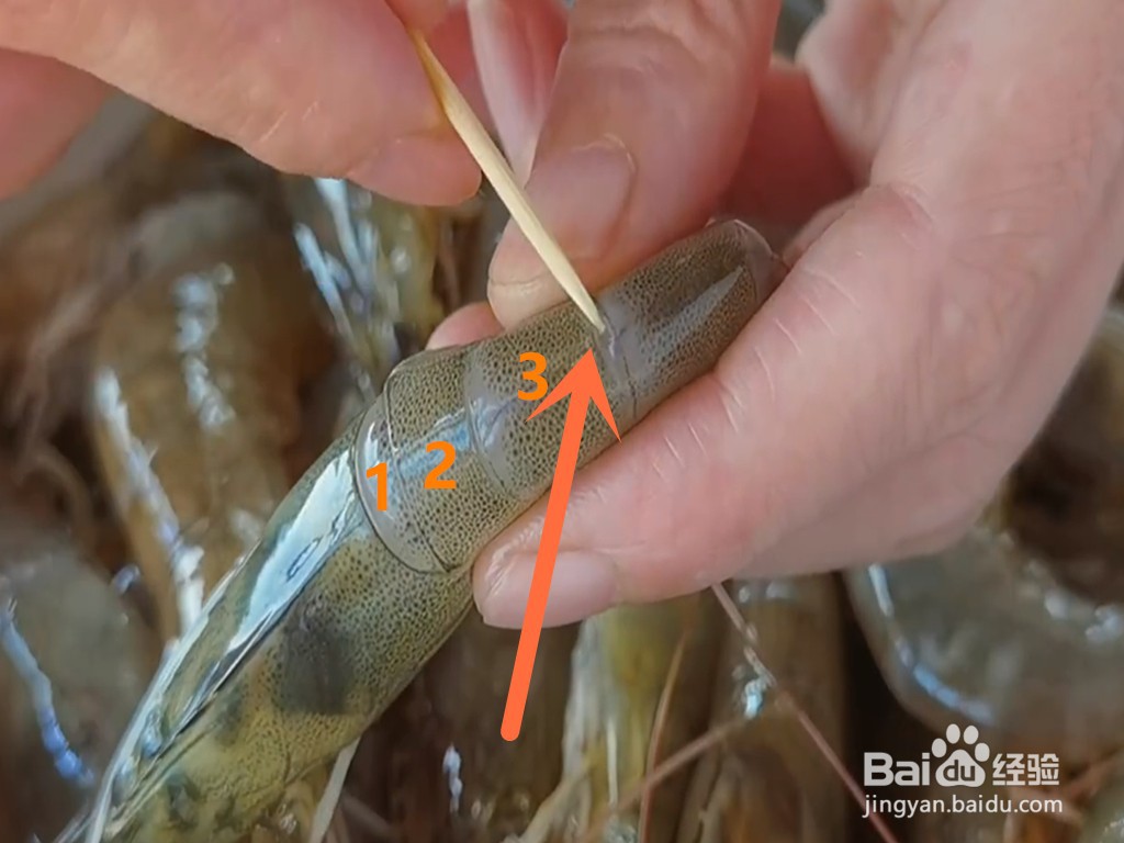 砂锅冬瓜焖大虾