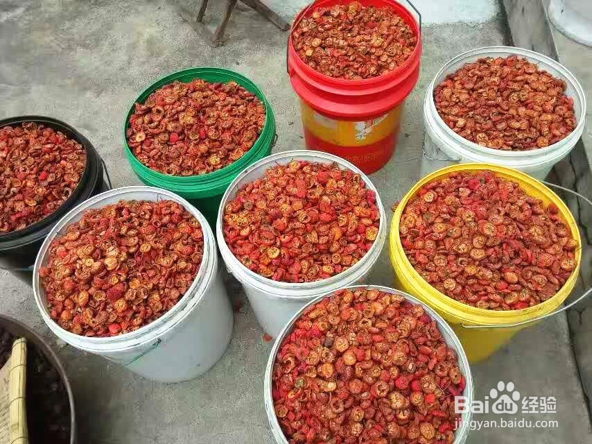炮制焦山楂的方法
