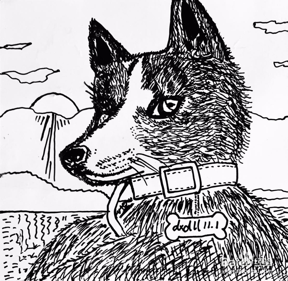 茉莉蜡笔手绘之萌宠哈士奇