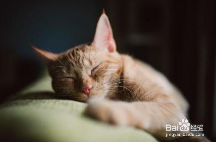 如何预防新型肺炎？