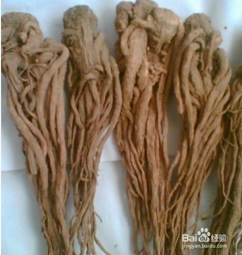 气血不足常生疾病,女性如何滋养气血