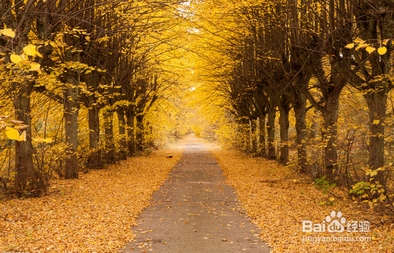 秋季饮食注意什么？