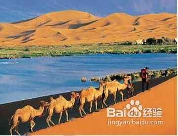 寻找2012最美丽的秋色
