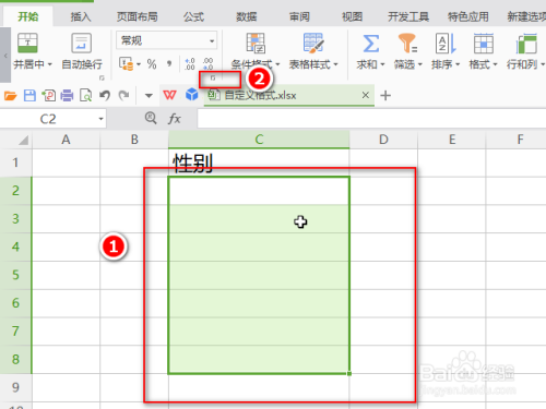 Excel中输入1或2显示男女或对错的设置方法