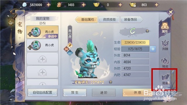 手游烈火如歌怎么捕捉宠物