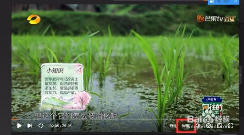 芒果tv怎么设置加速播放？