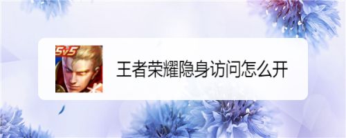 王者荣耀隐身访问怎么开