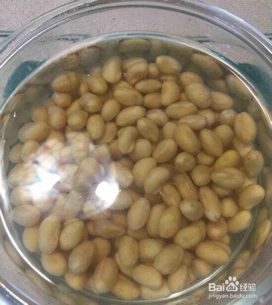 如何制作黄豆炖猪蹄汤