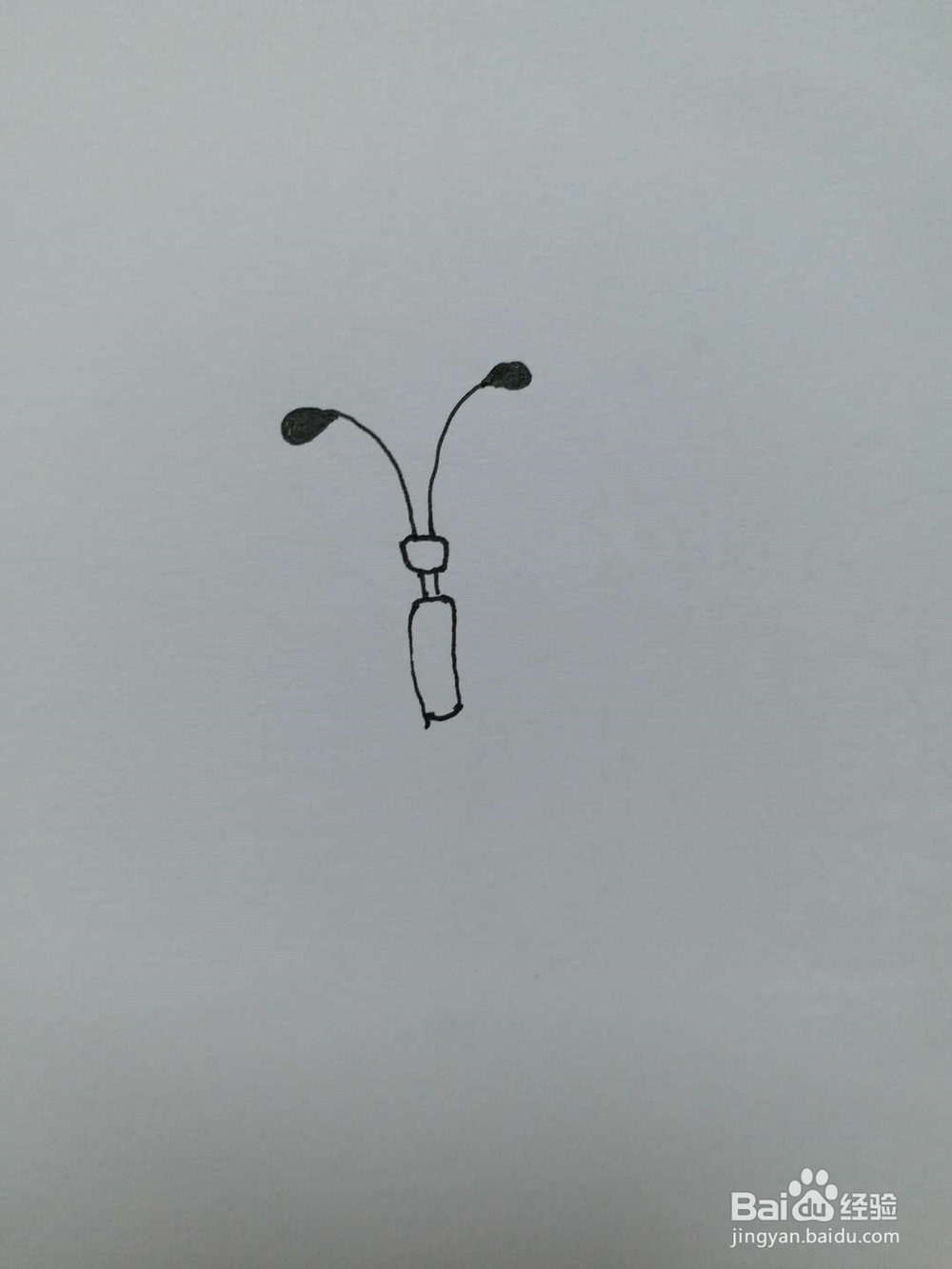蝴蝶的简笔画2