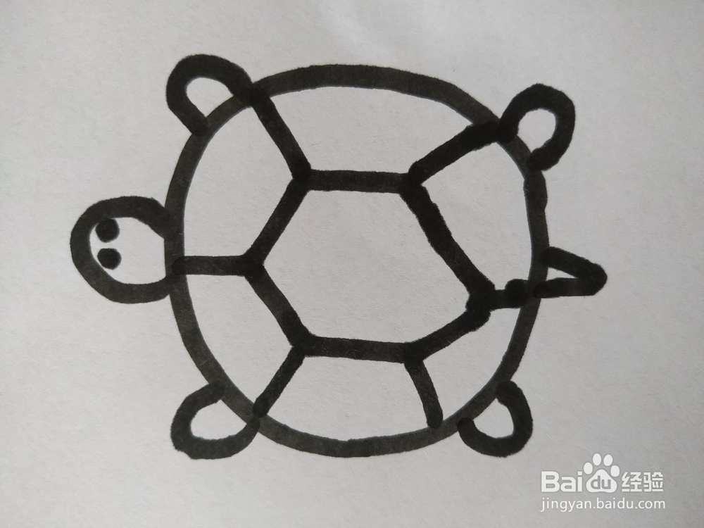 <b>乌龟的简笔画怎么画？怎么画乌龟呢</b>